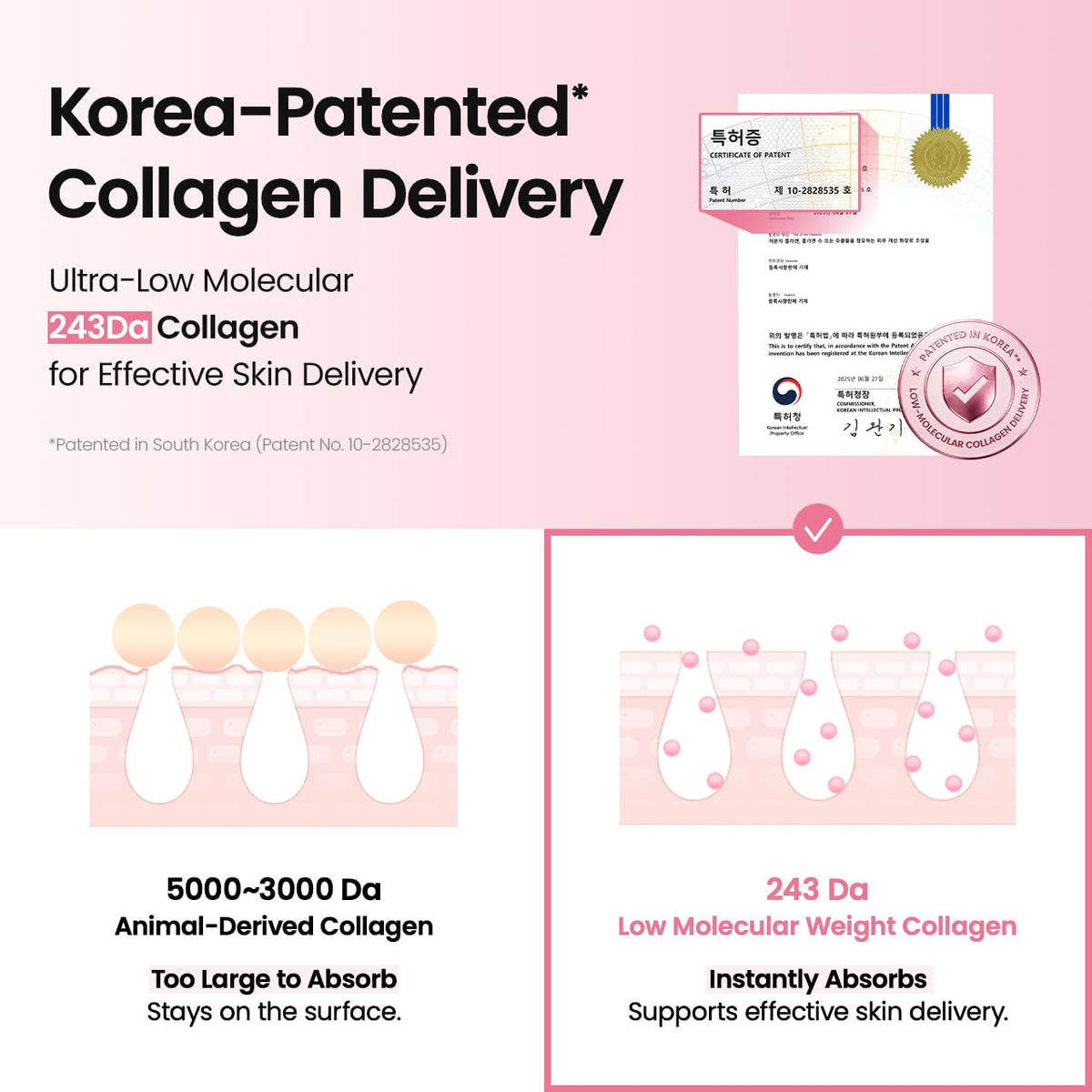 Biodance Pore Perfecting Collagen Peptide Serum 30 mL