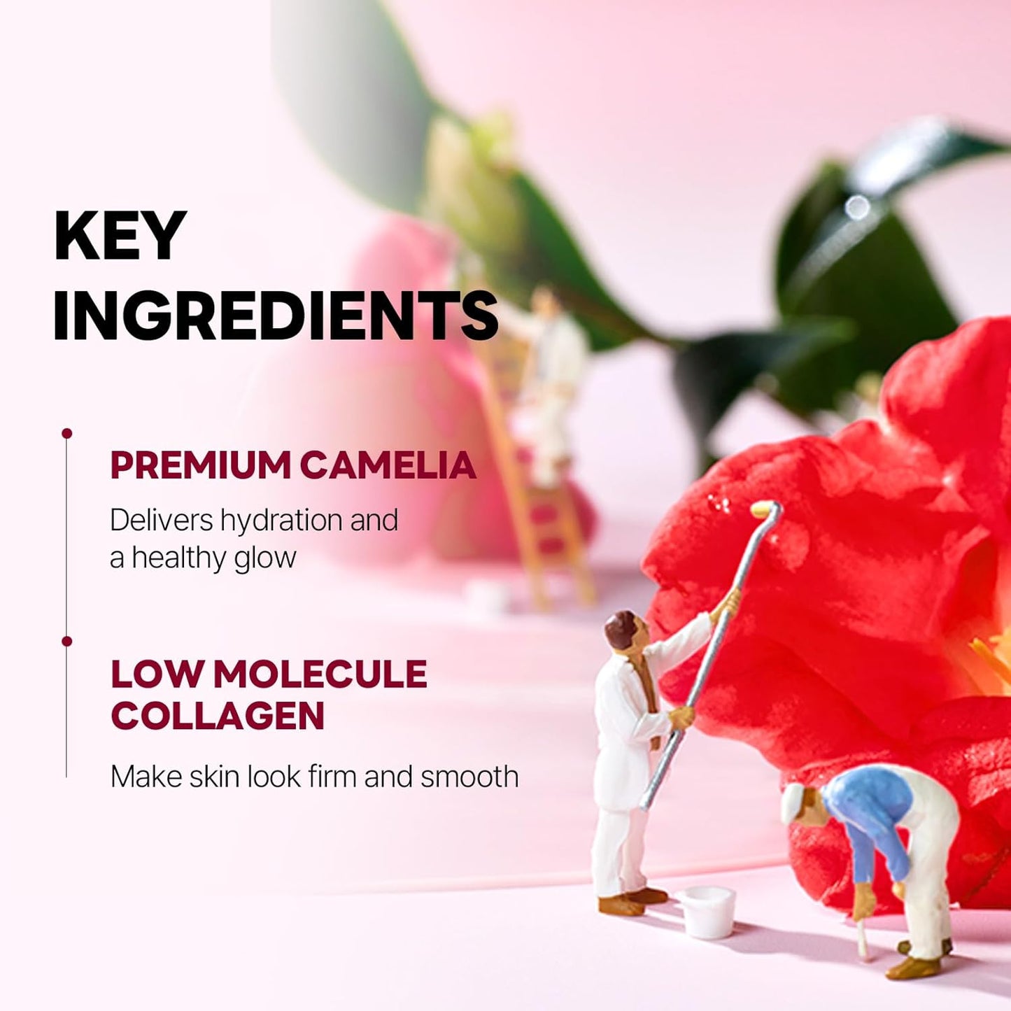 ROUND LAB Camelia Deep Collagen Firming Gel Mask 1 Sheet
