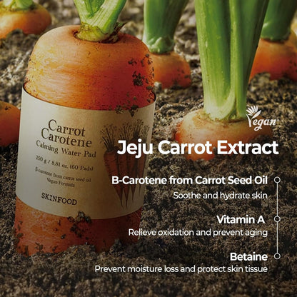 SKINFOOD Carrot Carotene Daily Sheet Mask 30 Sheets